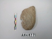 藏品(石片)的圖片